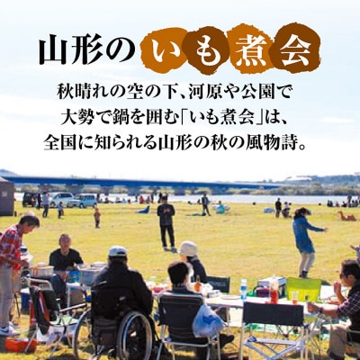 山形のいも煮　内陸味(醤油味・牛肉入り)2袋と庄内味(味噌味・豚肉入り)2袋　食べ比べセット