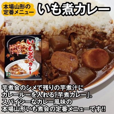 山形県の名産品　いも煮カレー2箱とさくらんぼカレー2箱セット