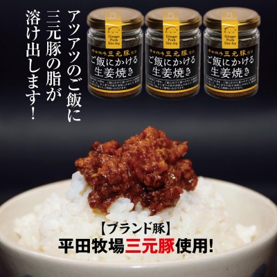 山形県平田牧場三元豚の「ご飯にかける生姜焼き」80g×3個セット