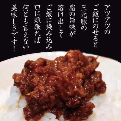 山形県平田牧場三元豚の「ご飯にかける生姜焼き」80g×3個セット