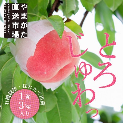 【令和7年発送】山形 もぎたて白桃 　3kg　ギフト箱入