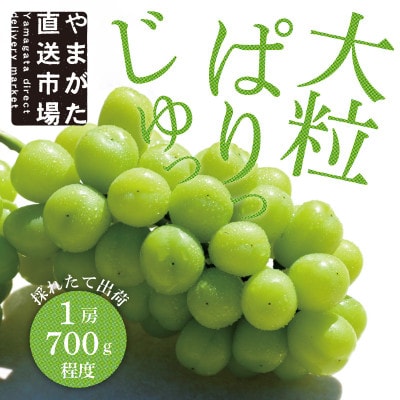 【先行受付】【令和7年発送】大粒もぎたてシャインマスカット1房(700g程度)ギフト箱入り