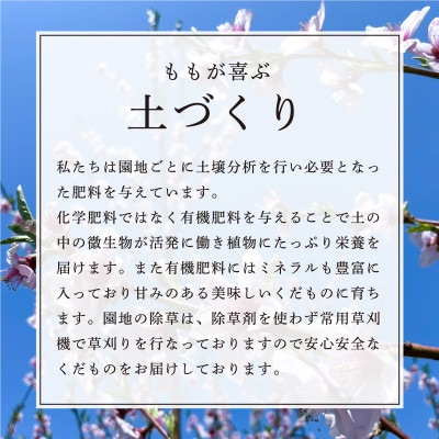 【先行受付　令和7年度発送】山形　もぎたて白桃2kg　ギフト箱入
