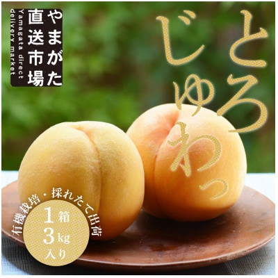 【先行受付　令和7年度発送】山形　もぎたて黄桃3kg　ギフト箱入
