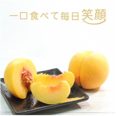 【先行受付　令和7年度発送】山形　もぎたて黄桃2kg　ギフト箱入