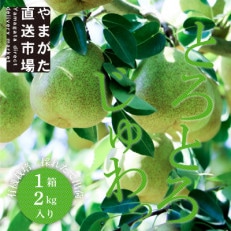 [先行受付 令和6年10月下旬より順次発送予定]たべごろラ・フランス 2kg ギフト箱入り