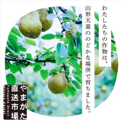 【先行受付 令和6年10月下旬より順次発送予定】たべごろラ・フランス　2kg　ギフト箱入り