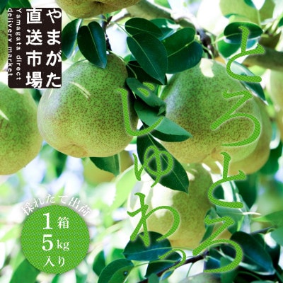 【先行受付　令和7年度発送】山形県産　たべごろラ・フランス　5kg