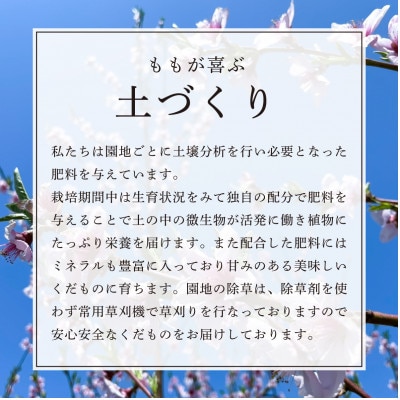 【先行受付　令和7年度発送】山形県産　もぎたて白桃(品種おまかせ)3kg