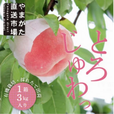 【先行受付 令和8年度発送】山形 もぎたて白桃〈柔らかくなる桃〉約3kg