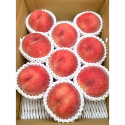 【先行受付 令和8年度発送】山形 もぎたて白桃〈柔らかくなる桃〉約3kg