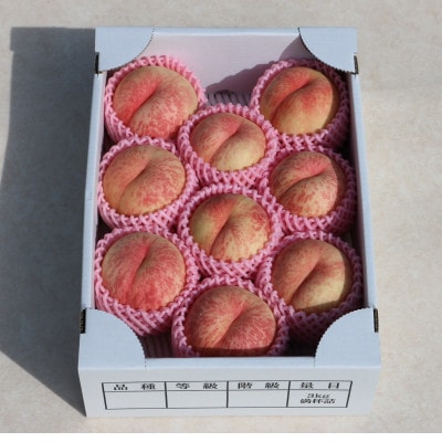 【先行受付　令和8年度発送】山形県産　希少な桃　cx(シーエックス)　3kg　ギフト箱入り