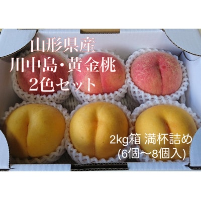 山形県産桃【川中島・黄金桃　2色セット】2Kg箱　満杯詰め(6～8個入り)