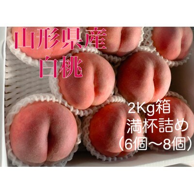 山形県産白桃(品種おまかせ)　2kg箱　満杯詰め(6～8個入り)