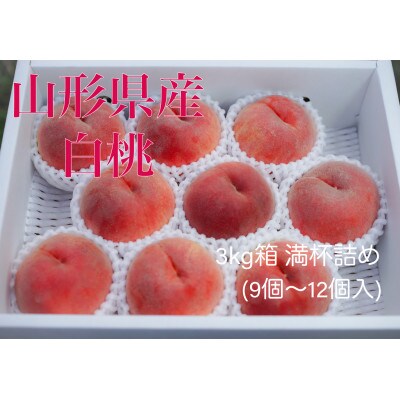 山形県産白桃(品種おまかせ)　3kg箱　満杯詰め(9～12個入り)