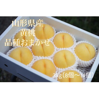 《先行受付》2024年発送　山形県産　黄桃(品種おまかせ)　約3kg箱満杯詰め(8個～14個入り)