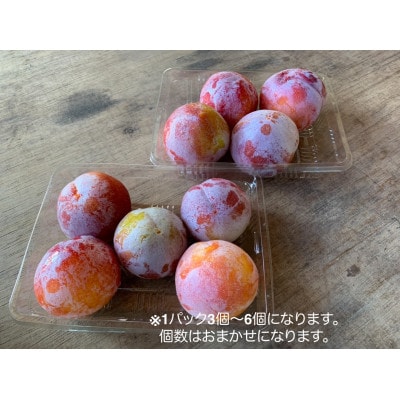 《先行受付》2024年度発送　山形県産　すもも【秋姫】 2kg(500g×4パック)　ご家庭用