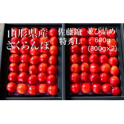 《先行受付》2025年発送　さくらんぼ【佐藤錦】特秀Lサイズ以上　600g(300g×2)