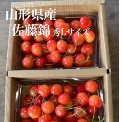 《先行受付》2025年度発送　山形県産さくらんぼ　佐藤錦秀品Lサイズ　700g　バラ詰め