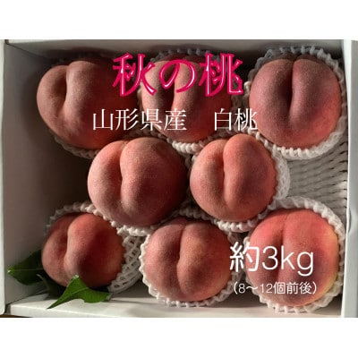 《先行受付》2025年度発送　秋の桃　山形県産白桃(硬め)　約3kg箱(8～12個入り)