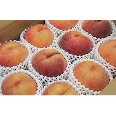 《先行受付》2026年発送　山形県産黄桃品種おまかせ2.5kg(8個～14個入)