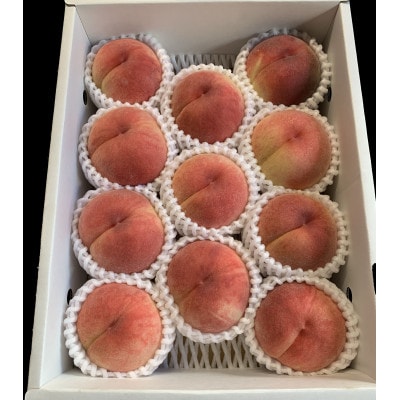 《先行受付》2026年発送　山形県産秋の桃　2.5kg(8個～12個入)