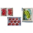 【発送月固定定期便】≪先行受付≫2026年度発送　山形　旬の定期便全5回