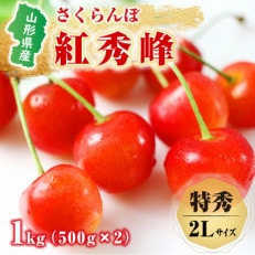 【先行受付(令和6年度発送)】特秀 山形県産さくらんぼ(紅秀峰)500g&times;2パック