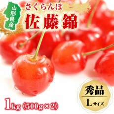 【先行受付】秀品　山形県産さくらんぼ(佐藤錦)500g×2パック