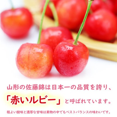 【先行受付(2025年度発送)】秀 山形県産さくらんぼ(佐藤錦)1kg