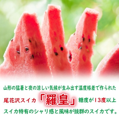 【先行受付(令和5年度発送)】山形県産 尾花沢スイカ(羅皇)2Lサイズ1玉