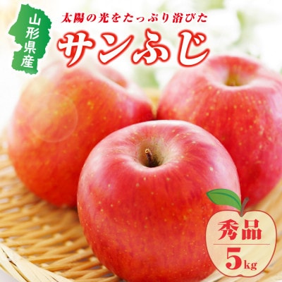【先行受付(2025年度発送)】山形県産りんご(サンふじ)5kg(12-20玉前後)