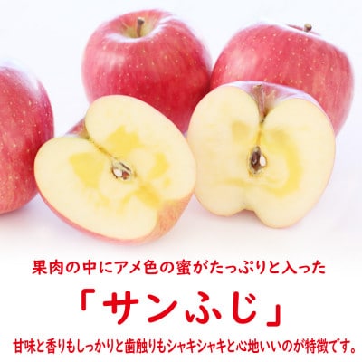 【先行受付(2025年度発送)】山形県産りんご(サンふじ)5kg(12-20玉前後)