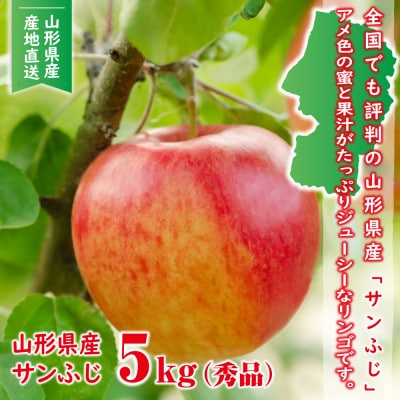 【先行受付(2025年度発送)】山形県産りんご(サンふじ)5kg(12-20玉前後)