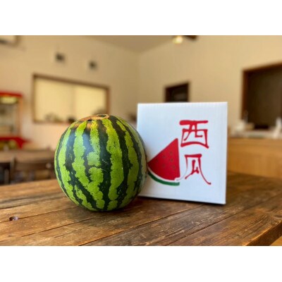 【2026年先行受付】山形県産スイカ1玉