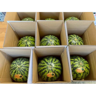 【2026年先行受付】山形県産スイカ1玉