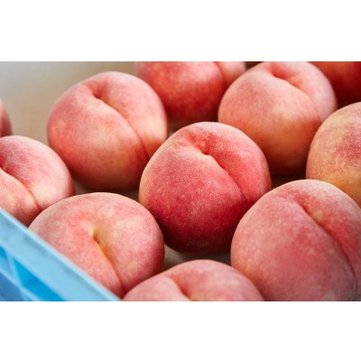 【2023年度産先行受付】山形のおいしい桃2kg