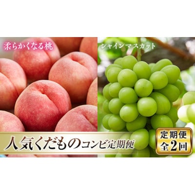 【発送月固定定期便】【2026年発送予定】人気くだものコンビ!定期便　ももとシャインマスカット全2回