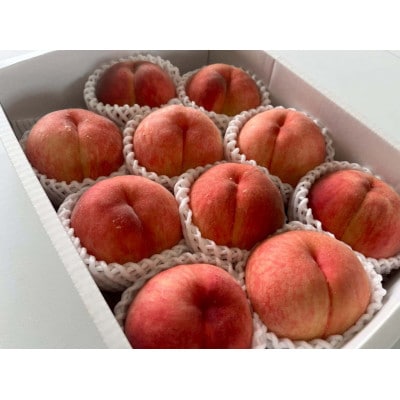 【発送月固定定期便】【2026年発送予定】人気くだものコンビ!定期便　ももとシャインマスカット全2回