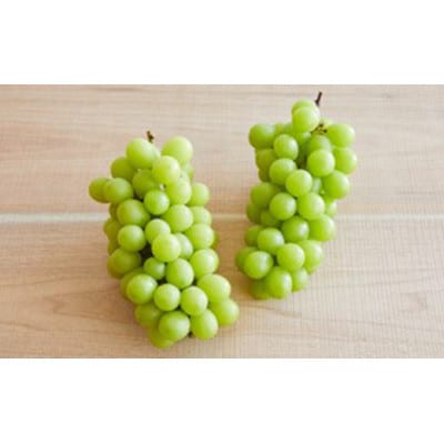 【発送月固定定期便】【2026年発送予定】人気くだものコンビ!定期便　ももとシャインマスカット全2回