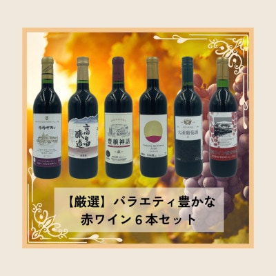 赤ワイン辛口　6種類　計6本セット