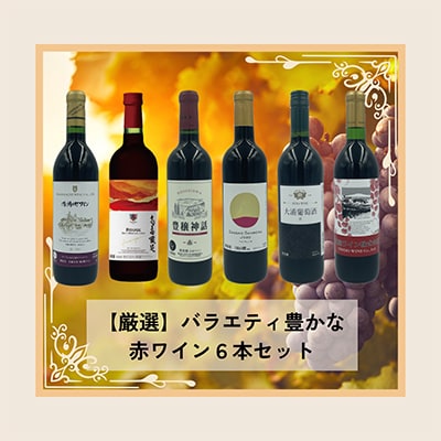 赤ワイン辛口　6種類　計6本セット