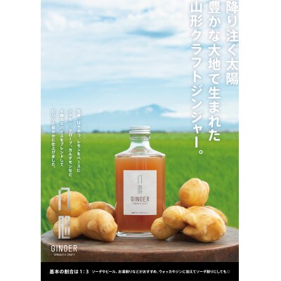 Yamagata craft ginger　YATAGINGER　375mlビン　1本