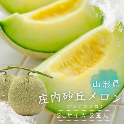 【庄内砂丘メロン】みちのく夏ギフト アンデスメロン(青肉) 秀2L 2玉