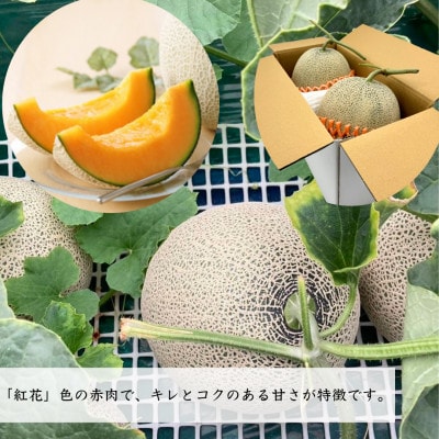 希少【庄内砂丘メロン】みちのく夏ギフト　紅花メロン(赤肉)秀2L　2玉