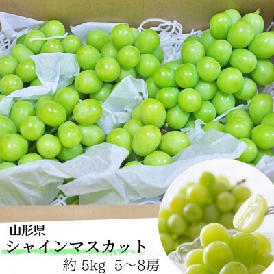 【9月より順次出荷】山形県産シャインマスカット　約5kg(5～8房)