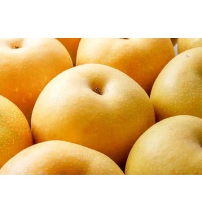【9月より順次出荷】山形県産　和梨(幸水・豊水)　約3kg(7~12玉)