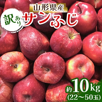 【訳あり】山形県産 サンふじ りんご 10kg バラ詰め ご自宅用