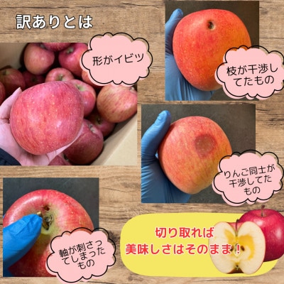 【訳あり】山形県産 サンふじ りんご 10kg バラ詰め ご自宅用