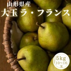 大玉ラ・フランス 約5kg とろける食感 山形県産